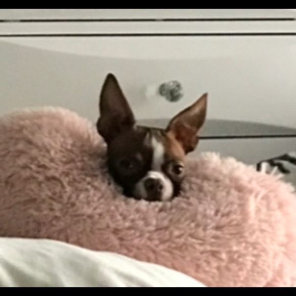 Meet your Posher, Pen - Picture 1 of 1